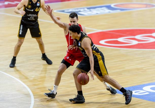 也稳固了巴 也稳固了巴